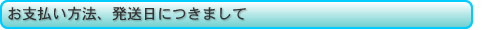 お支払い方法、発送日につきまして